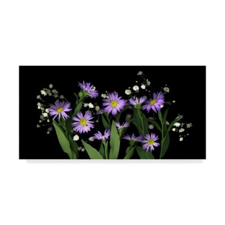 Susan S. Barmon 'Asters And Babys Breath 2' Canvas Art,12x24